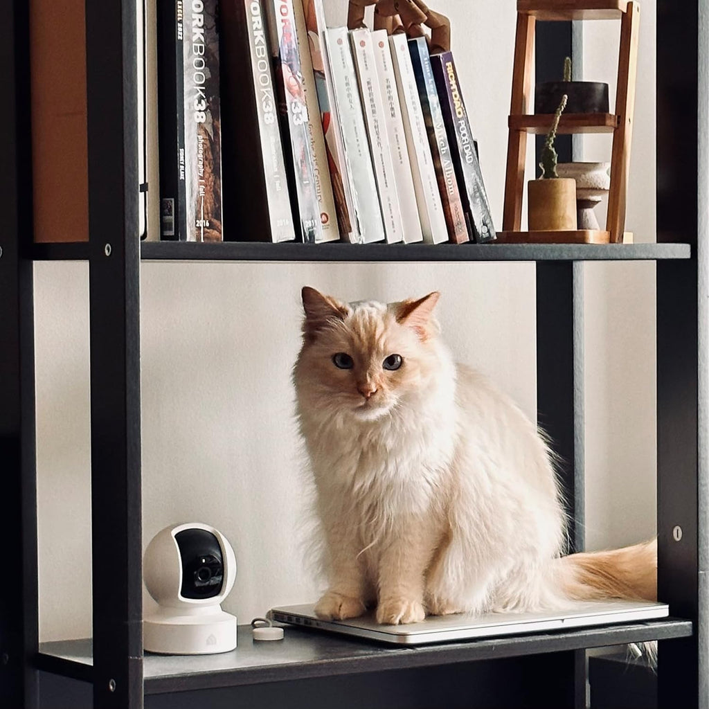 Kasa 1080p Indoor Pan/Tilt Wired Security Camera - Works as a Baby & Pet Monitor, Motion Detection & Tracking, 2-Way Audio, Night Vision, Subscription-Free Local Storage or Optional Cloud, EC70